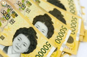 5만원권 지폐